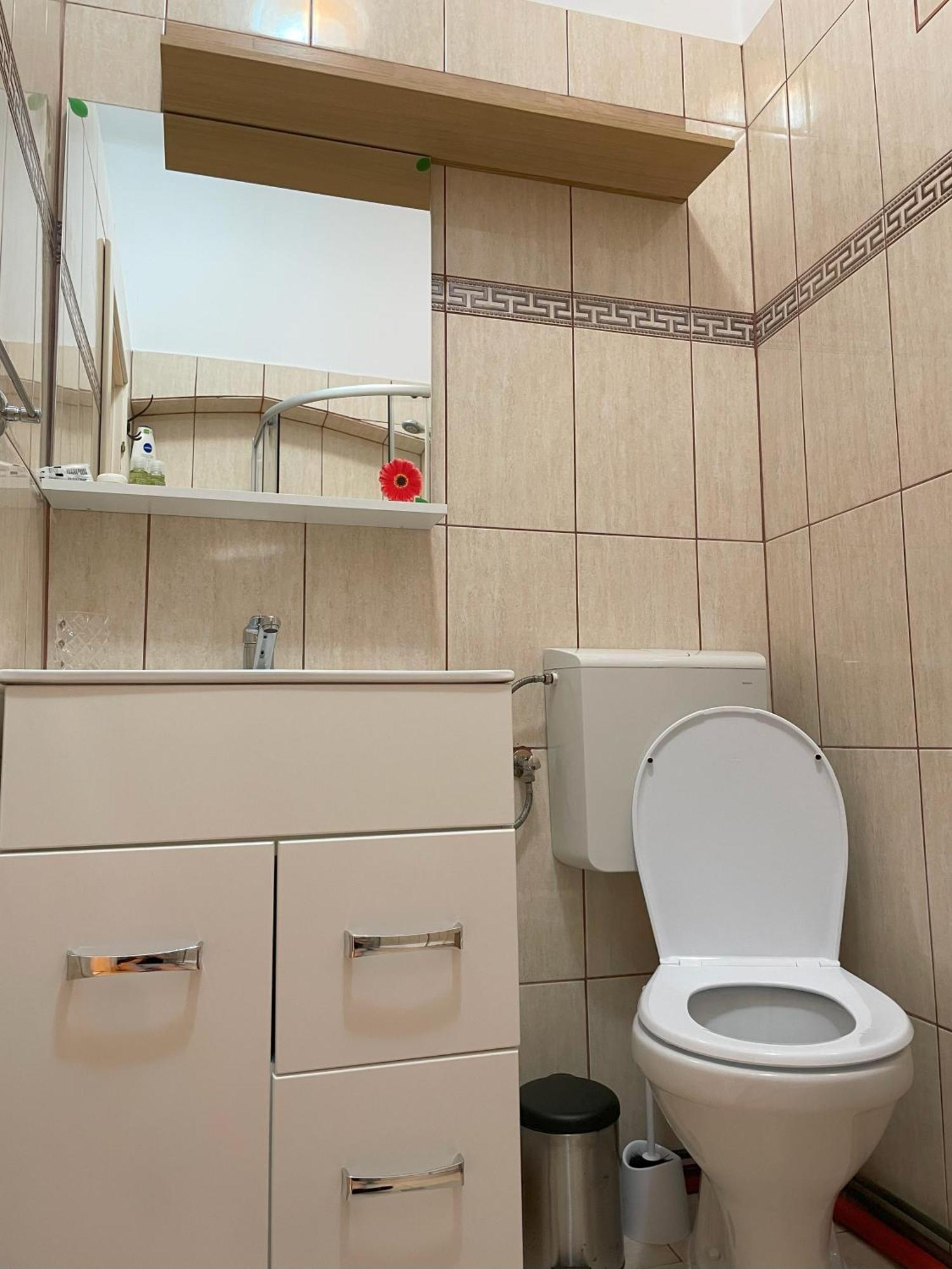 Studiopro44 Sibiu Ngoại thất bức ảnh